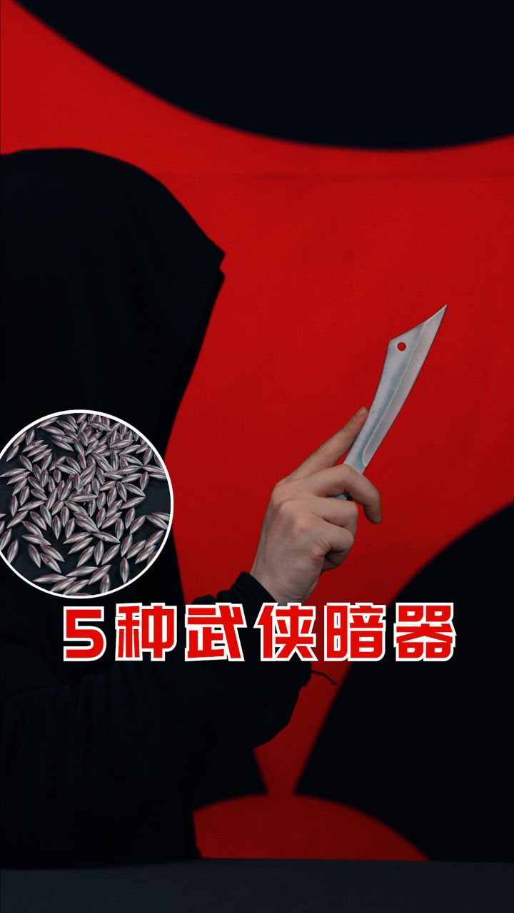 武林群侠传暗器
