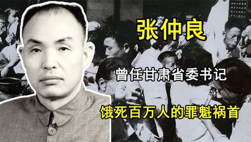 解放西北的功臣张仲良，曾任甘肃省委书记，饿死百万人被免职#全能创作人招募计划_高清1080P在线观看平台_腾讯视频