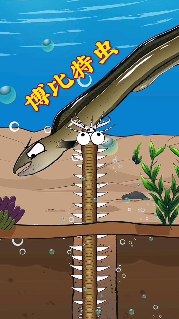 遭遇博比特虫偷袭?海鳗翻转逆袭!