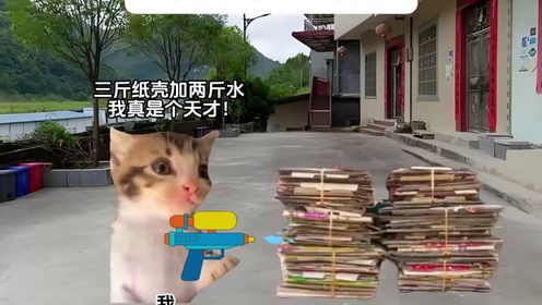 猫meme小剧场63:三个人凑不出一个良心_高清1080P在线观看平台_腾讯视频