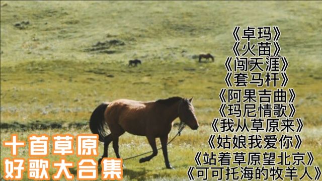 十首超好听的草原歌曲大合集,每一首歌都值得单曲循环,百听不厌