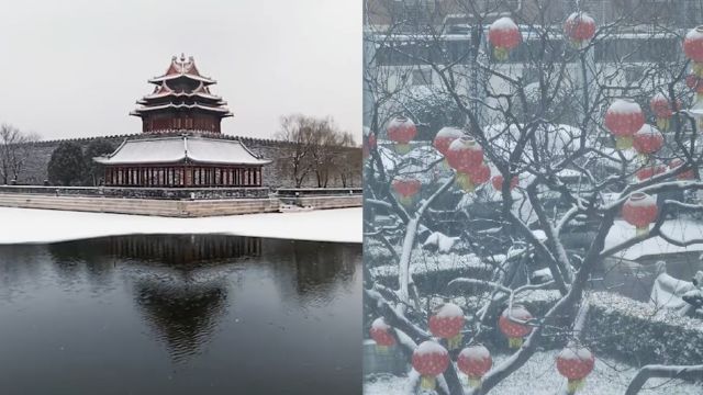 北京迎虎年初雪 故宫风景如画,雪打灯笼街头惊现雪容融