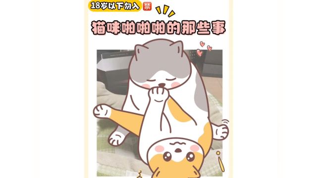 猫咪污污小知识