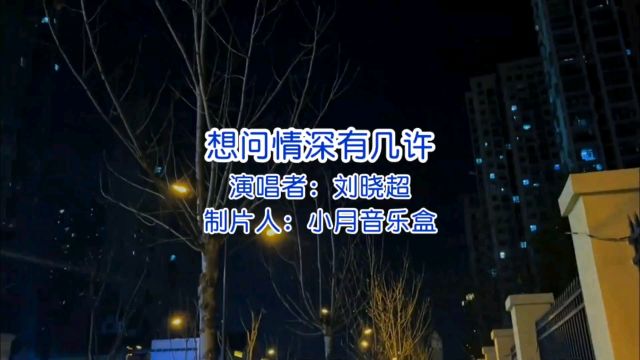 刘晓超《想问情深有几许》