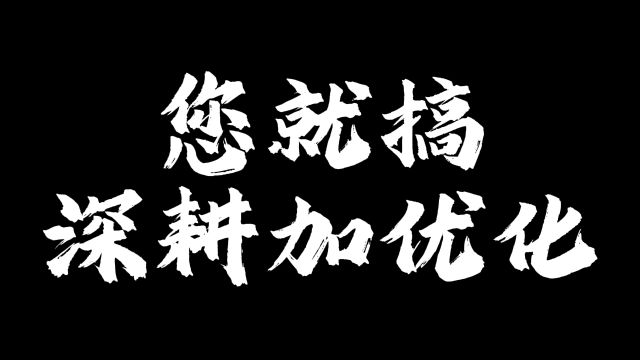 您就搞深耕加优化