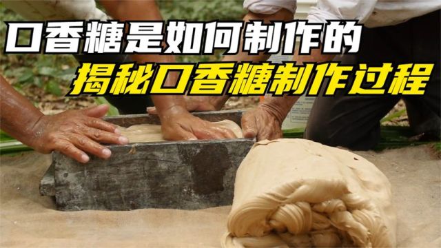 口香糖是如何制作的?揭秘口香糖制作过程,看完大开眼界