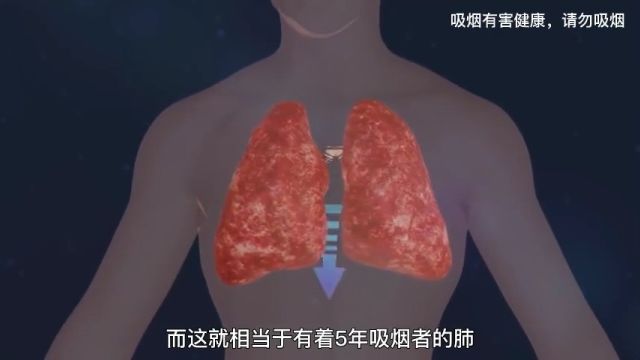 一支烟到底有多恐怖,看完这期视频我相信你会感受得到,