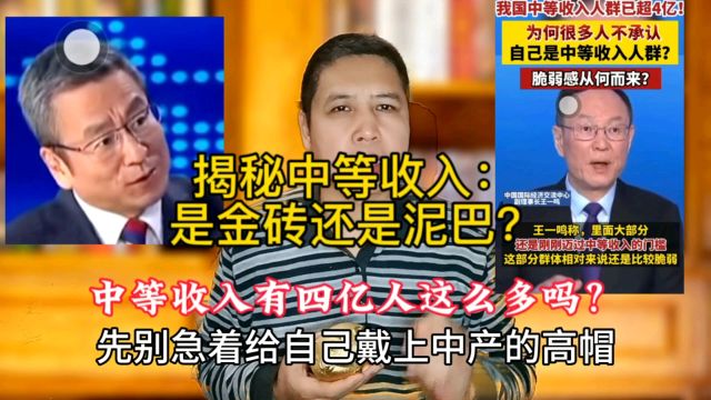 揭秘中等收入:是金砖还是泥巴?中等收入有四亿人这么多吗?你?#中等收入 #经济 #中产阶级