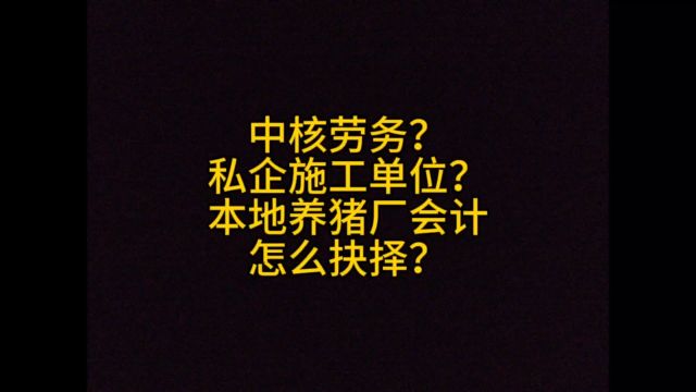 中核劳务?私企施工单位?本地养猪厂会计,怎么抉择?