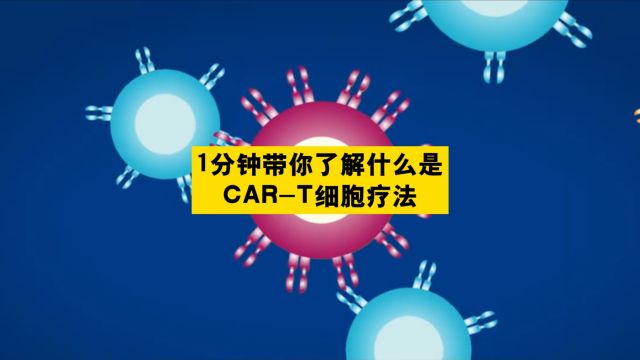 北联世纪:1分钟带你了解什么是CART细胞疗法?