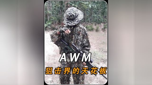 一代名狙“AWM狙击步枪”综合性能的天花板!