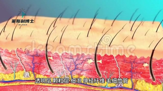 第五代热玛吉的功效、热玛吉多久见效真实答案看过来