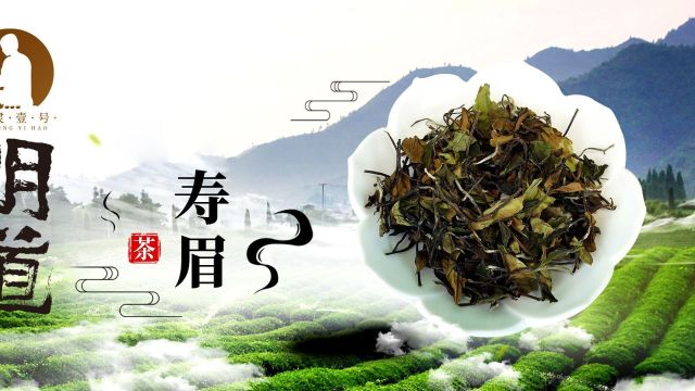 心灵壹号明道茶系列 | 寿眉的功效、作用及禁忌!