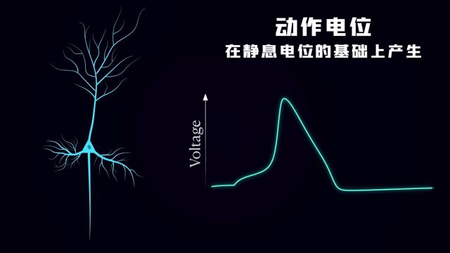 大脑神经元到底有多厉害,深度神经网络