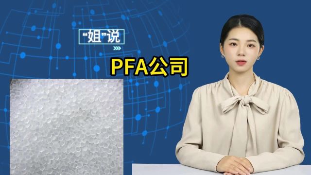 国内外主要有哪些生产PFA原料的公司?