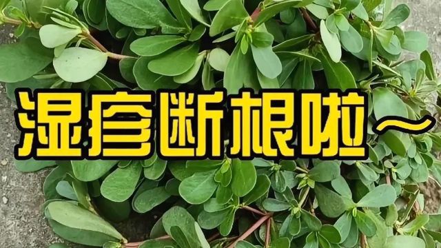 湿疹救星来了!战胜反复发作的湿疹!