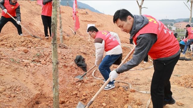 “党建领航 绿美侨乡”行动在江门蓬江启动