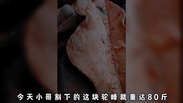 宫廷美食八珍排行之首的驼峰肉.古法烤制的神仙吃法,想吃吗?