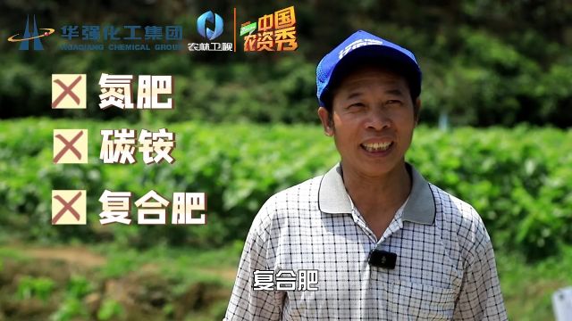 华强化工 强农工程:种桑养蚕好门路,编织致富新“丝路”