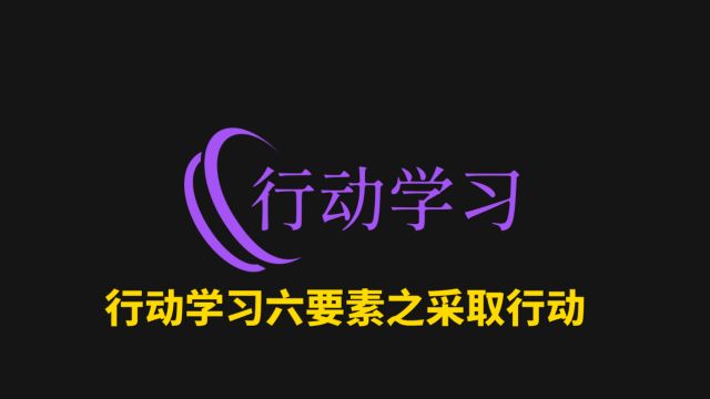 41行动学习六要素之采取行动