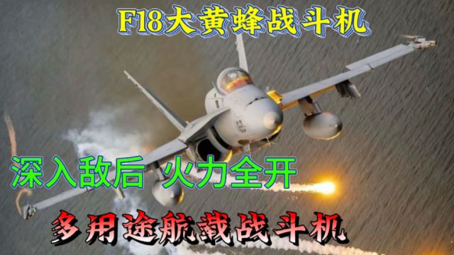 F18大黄蜂战斗机