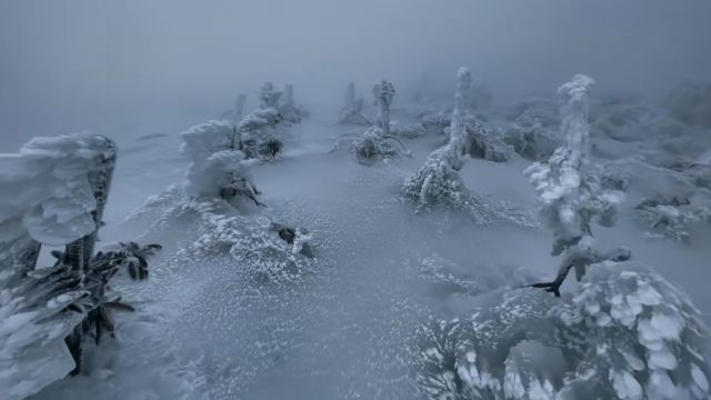 男子独自上山看雪发现“冰封秘境”:雪深半米没过膝盖,越走越怕