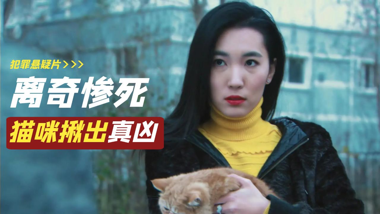 美女设计师离奇惨死家中,警方束手无策,猫咪帮警方破案_高清1080P在线观看平台_腾讯视频