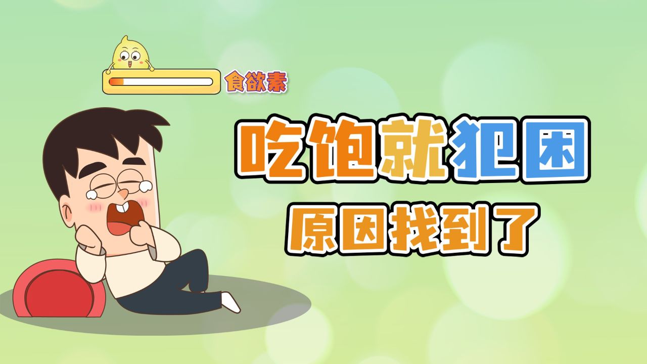 一吃饱就犯困,真的不是因为懒!