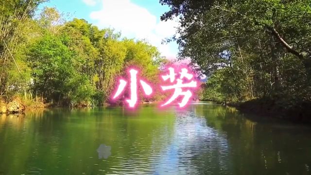 小芳  金曲推荐