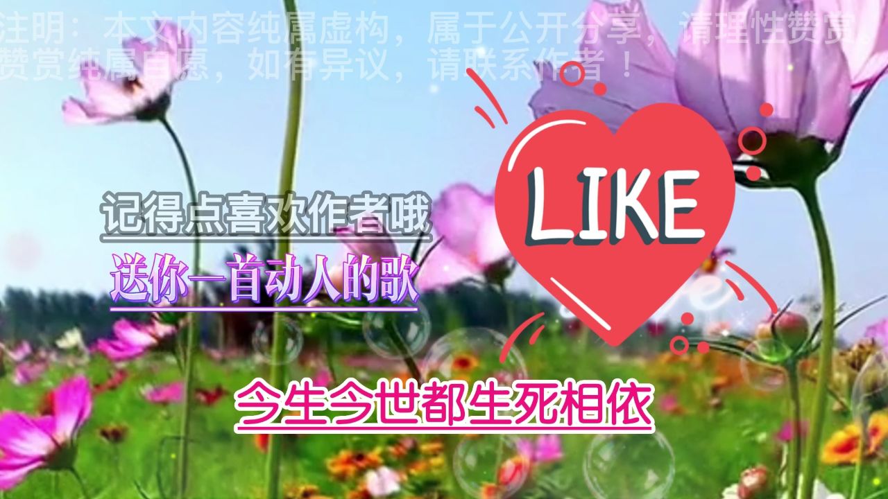 我会爱你一辈子