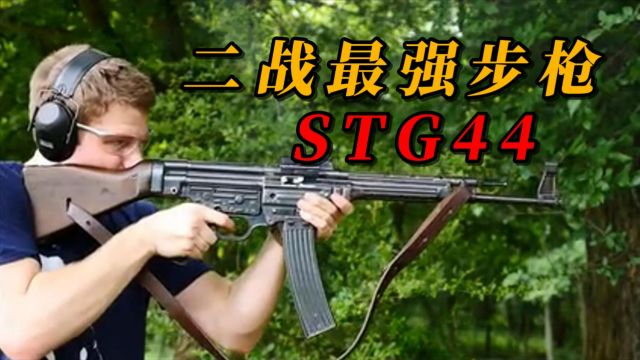 二战最强步枪 :STG44