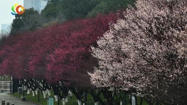 牢记嘱托勇扛新使命 感恩奋进谱写新篇章——写在市两会胜利闭幕之际