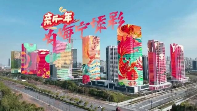 报喜啦!海宁“龙宝宝”闪亮登场!取的小名不一般!