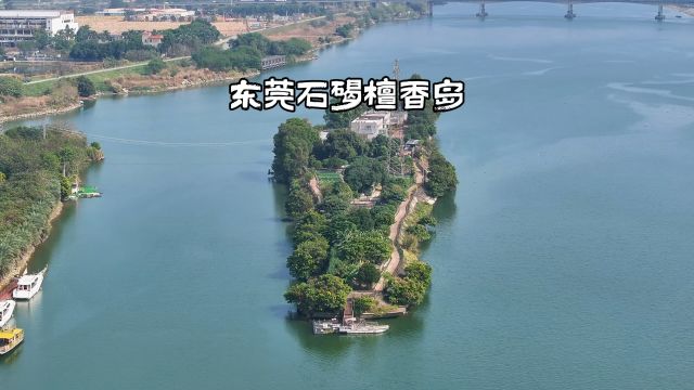 东莞石碣檀香岛