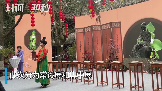 30秒|邂逅美好“兰”图 2024第二届杜甫草堂兰花展开幕