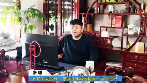 2024新春祝福 | 张聪---省协会副会长/忠良胜业有限公司董事长