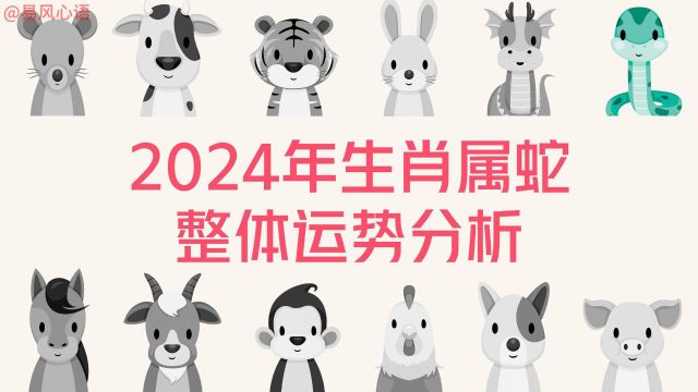 2024年生肖属蛇整体运势分析