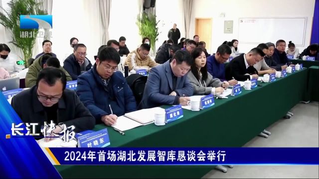 2024年首场湖北发展智库恳谈会举行