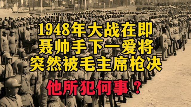 1948年大战在即,聂帅手下一爱将突然被毛主席枪决,他所犯何事?