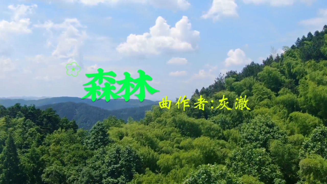 分享好听的纯音乐《森林》,不失优雅的旋律真动听