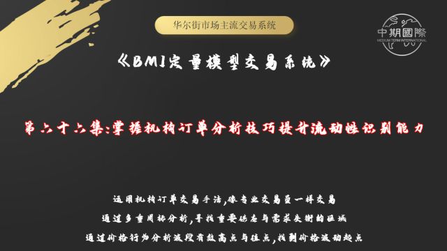 【BMI定量模型交易系统】掌握机构订单分析技巧提升流动性识别能力