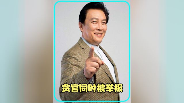 中央调查组立案调查贪官