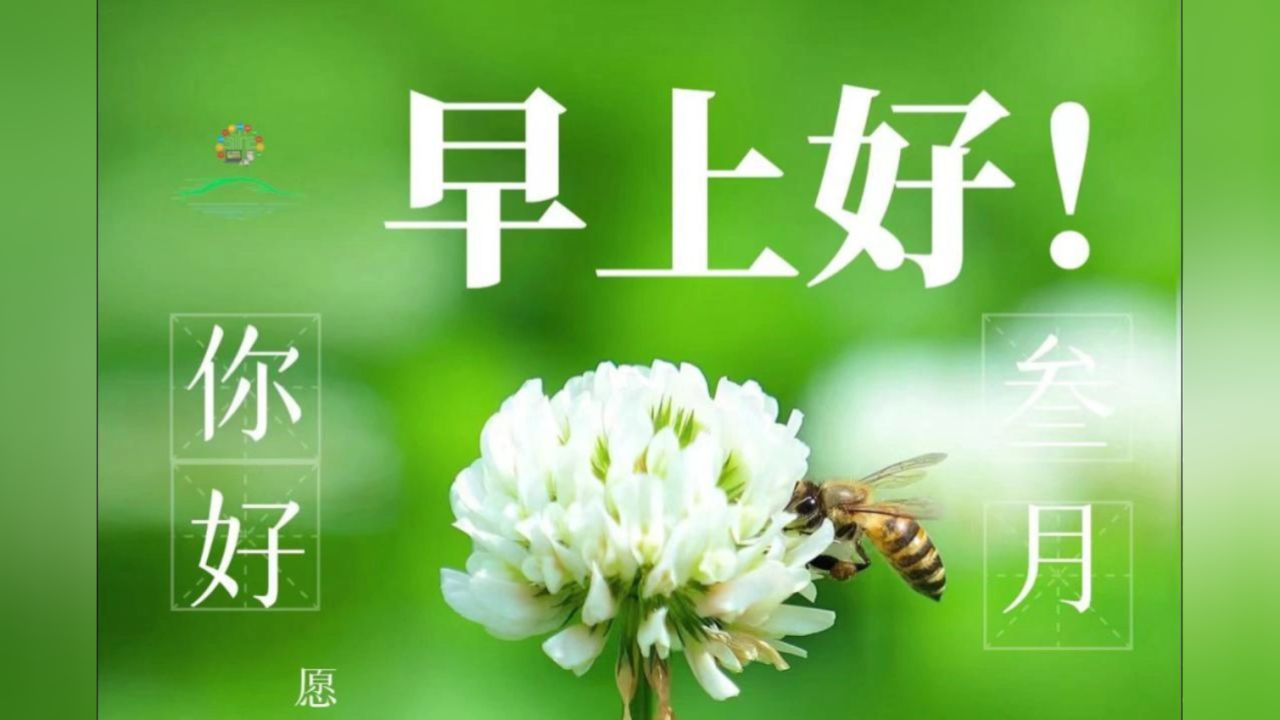 愿所有的美好,与春天一起苏醒.