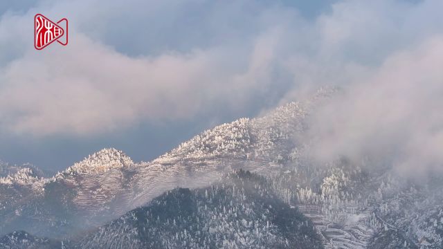 春日雾凇雪景