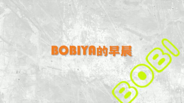 BOBIYS视频