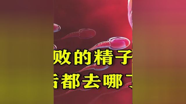 精子暗战,亿万精兵只有一个成功,失败的精子去哪了?中 #科普一下 #上热门 #硬核知识局 #生命诞生的过程