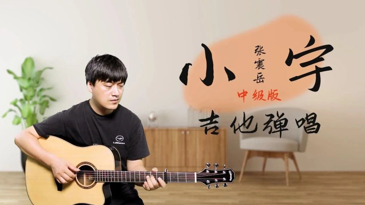 《斑马斑马》宋冬野|中级版 吉他谱 演示 教学