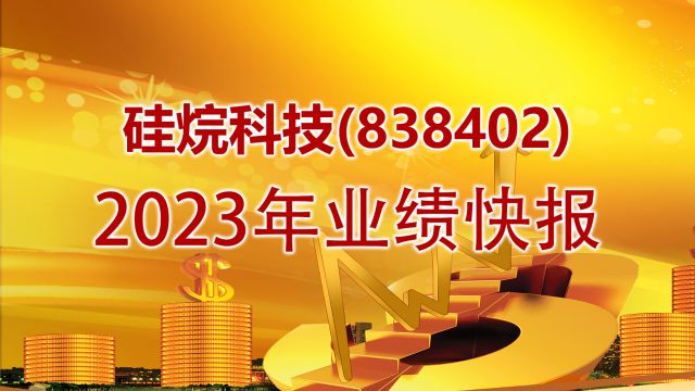 硅烷科技(838402)2023年业绩快报