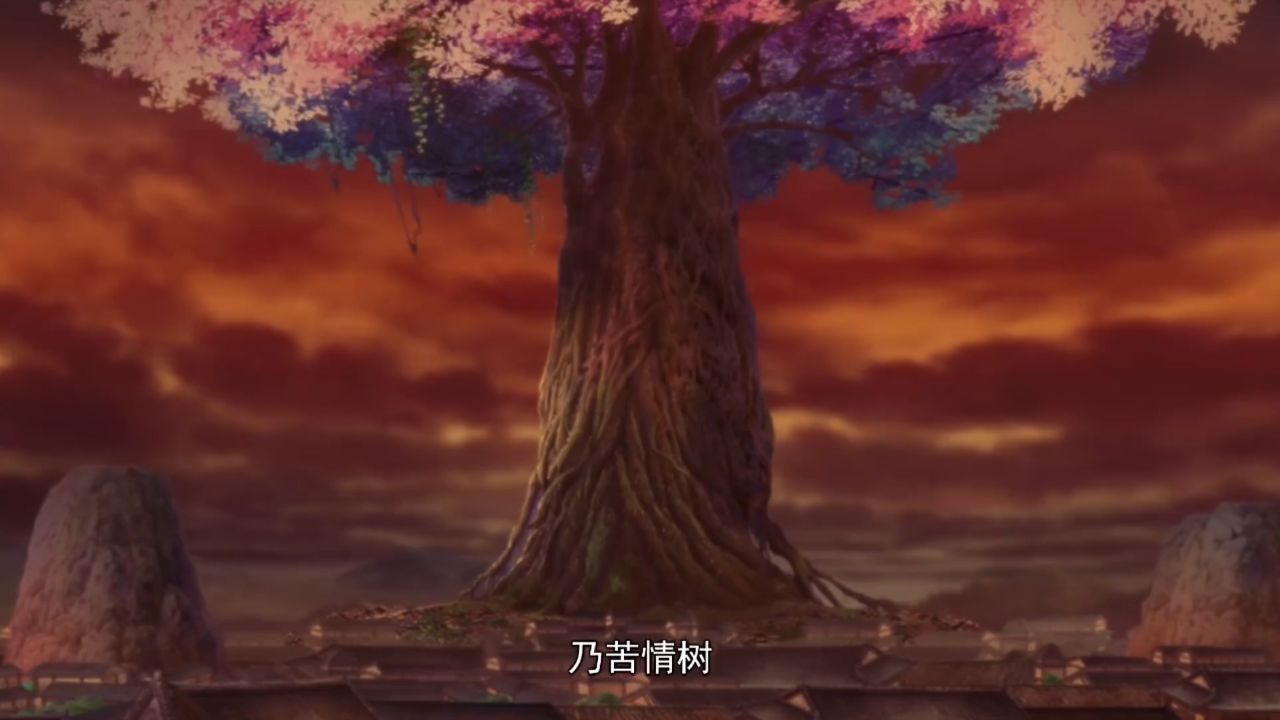 杭州苦情巨树图片