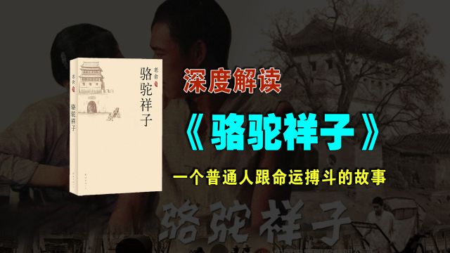 《骆驼祥子》:中国版的《悲惨世界》;一个普通人跟命运搏斗的故事